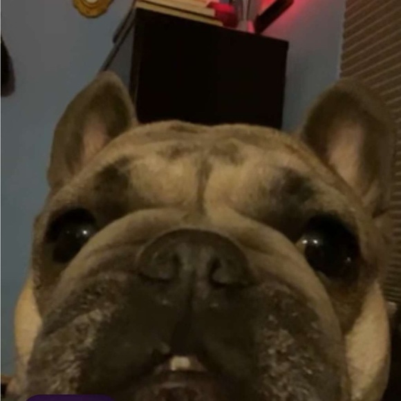 eryn_grayce